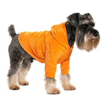 Кофта DIEGO hoodie «Помаранчевий»