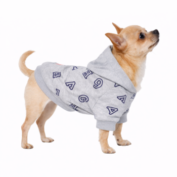 Кофта DIEGO hoodie «Сірі букви»