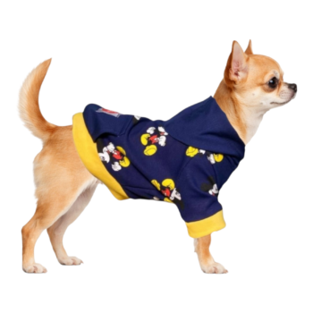 Кофта DIEGO hoodie «Міккі»